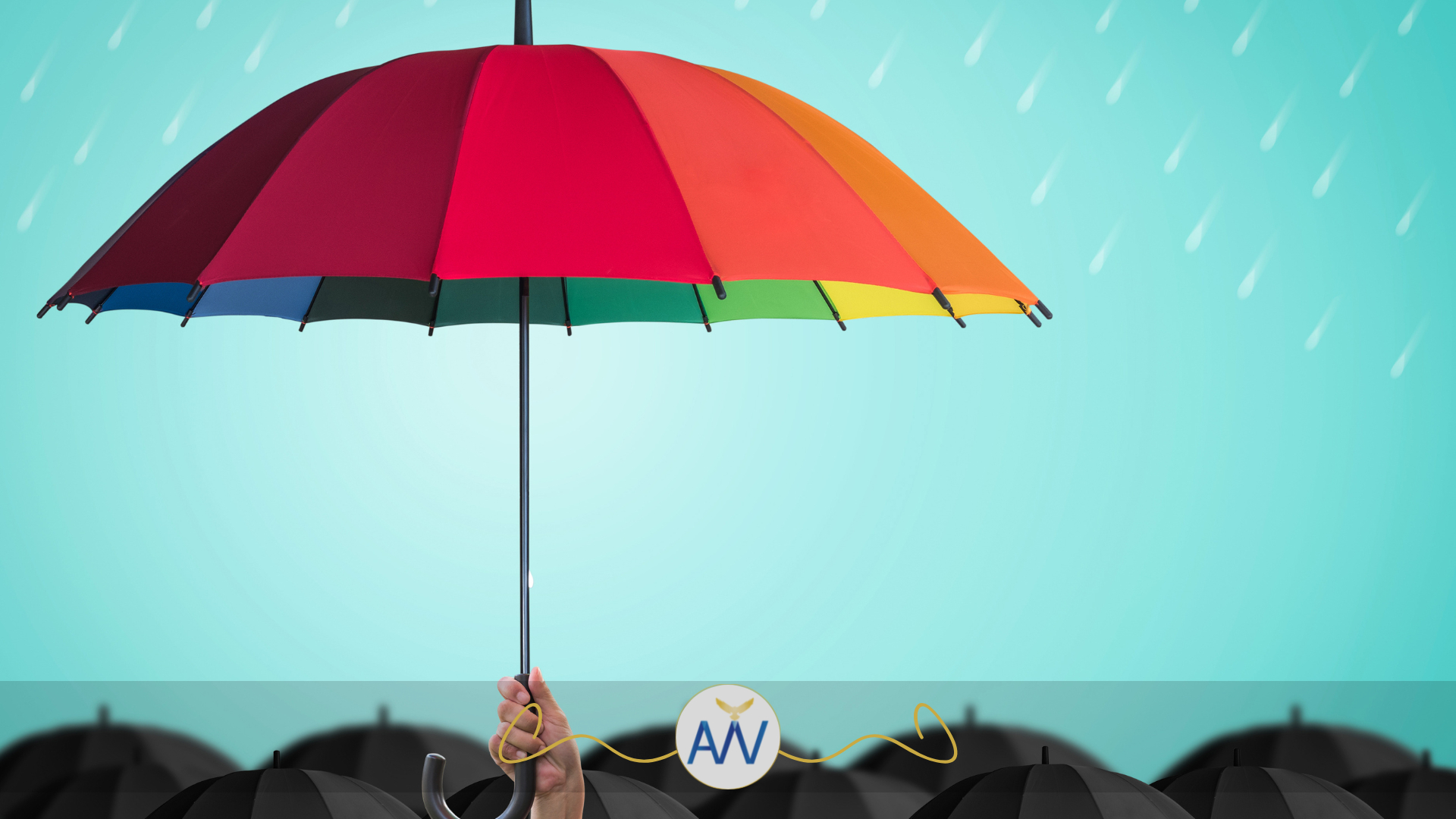 Top Term Life Insurance