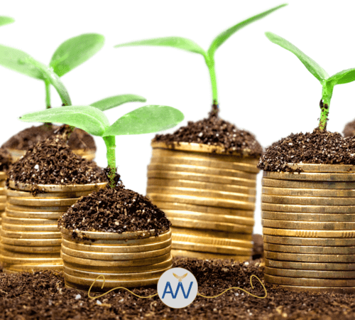 Life Insurance With Cash Value 2023